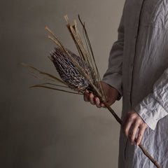 Mocha Palmflower Stem