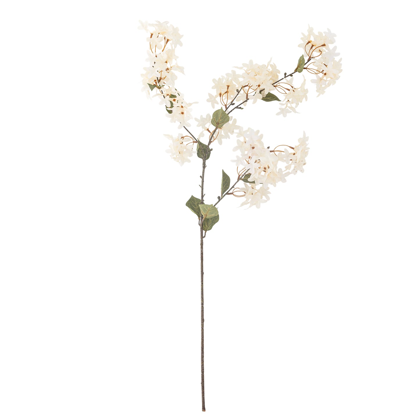 White Myrtle Branch