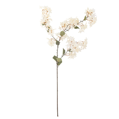 White Myrtle Branch