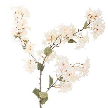 White Myrtle Branch