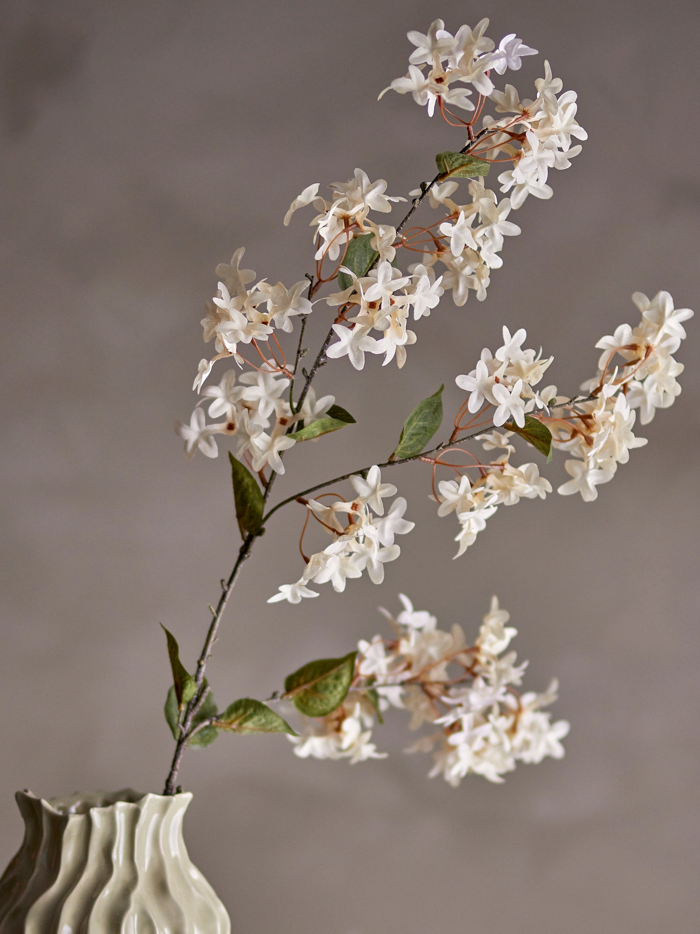 White Myrtle Branch