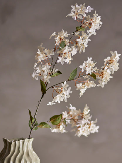White Myrtle Branch