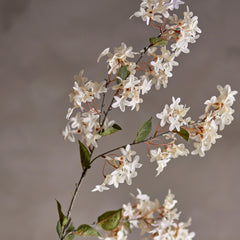 White Myrtle Branch