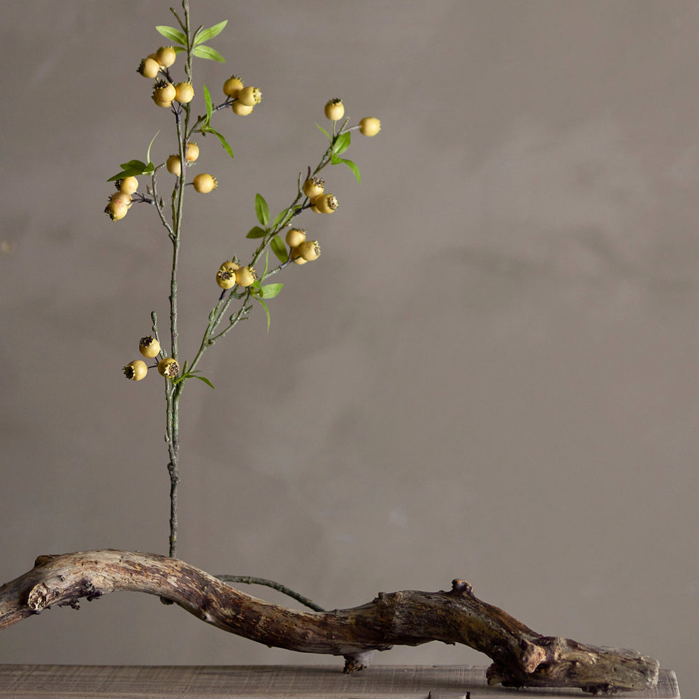 Hawthorn Branch