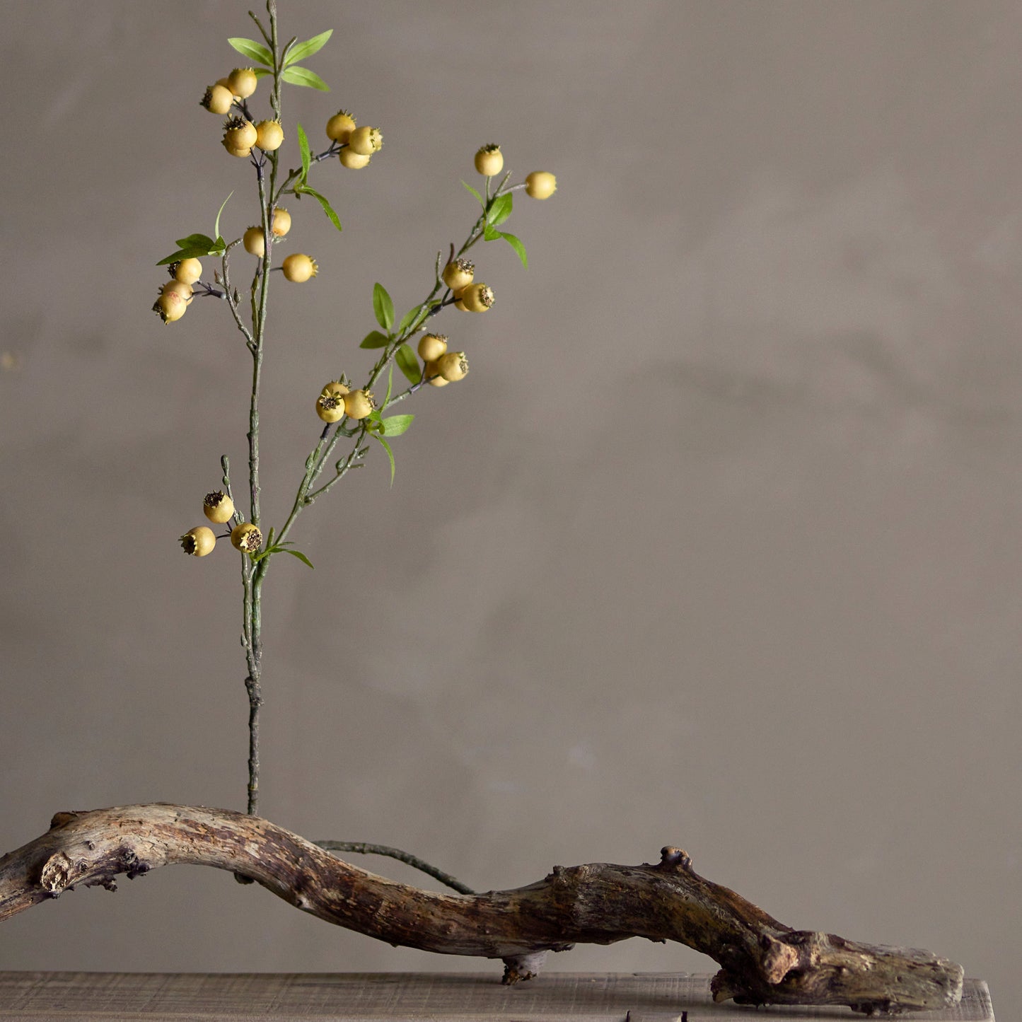 Hawthorn Branch - Design Vintage