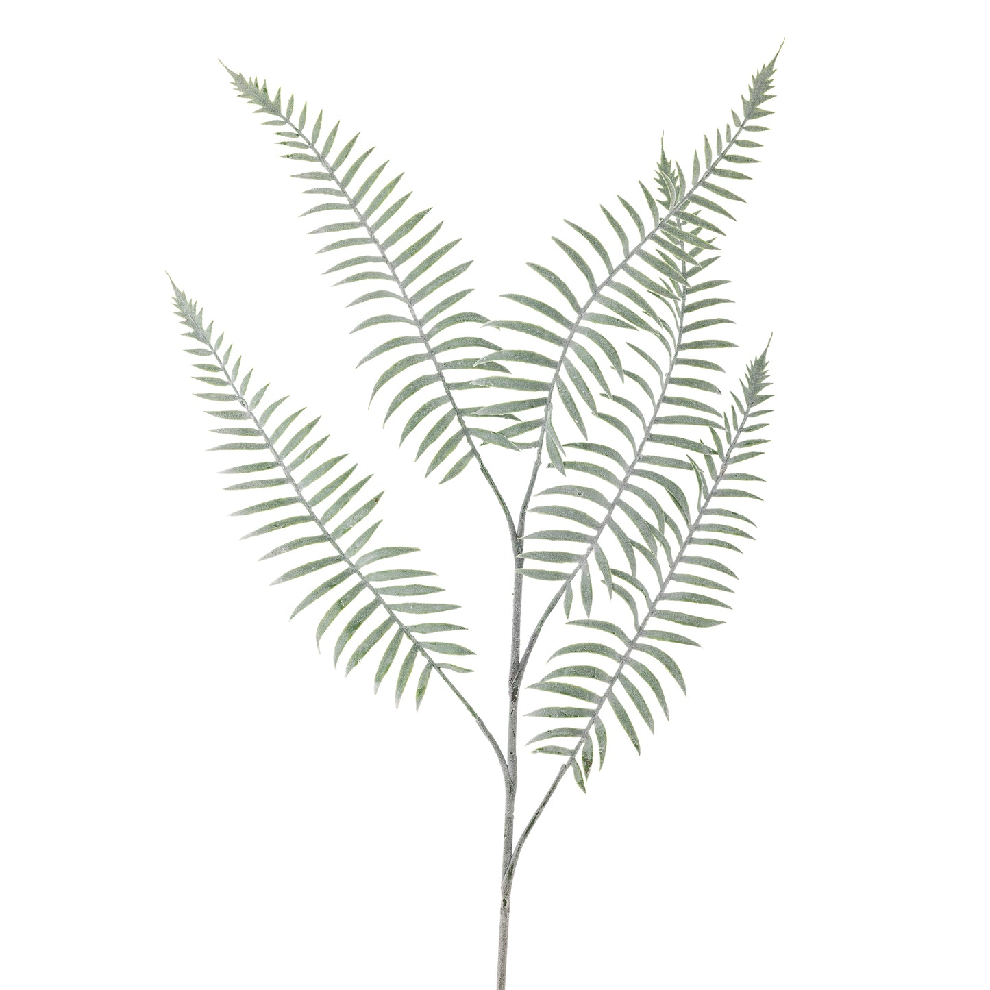 Green Sago Stem - Design Vintage