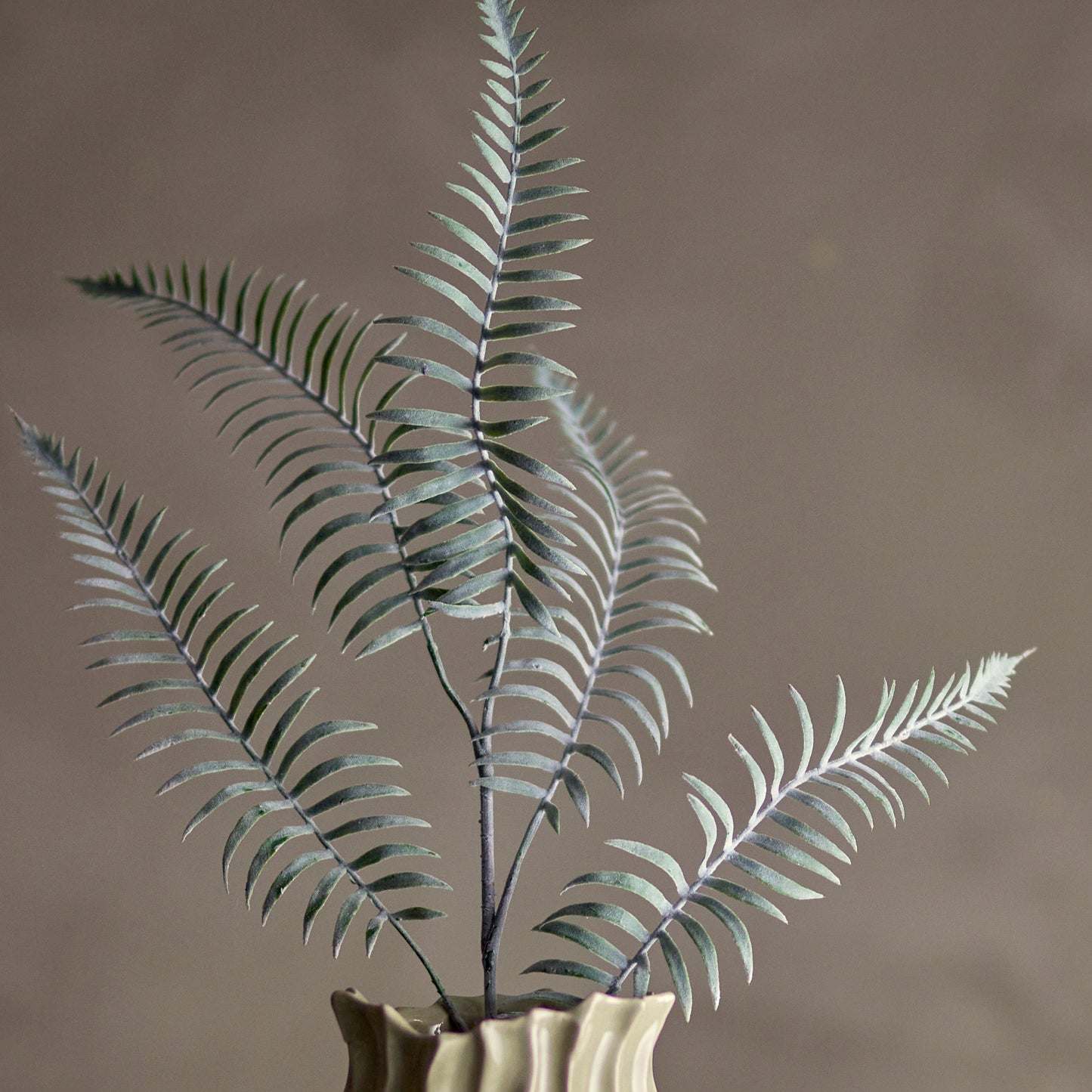 Green Sago Stem - Design Vintage