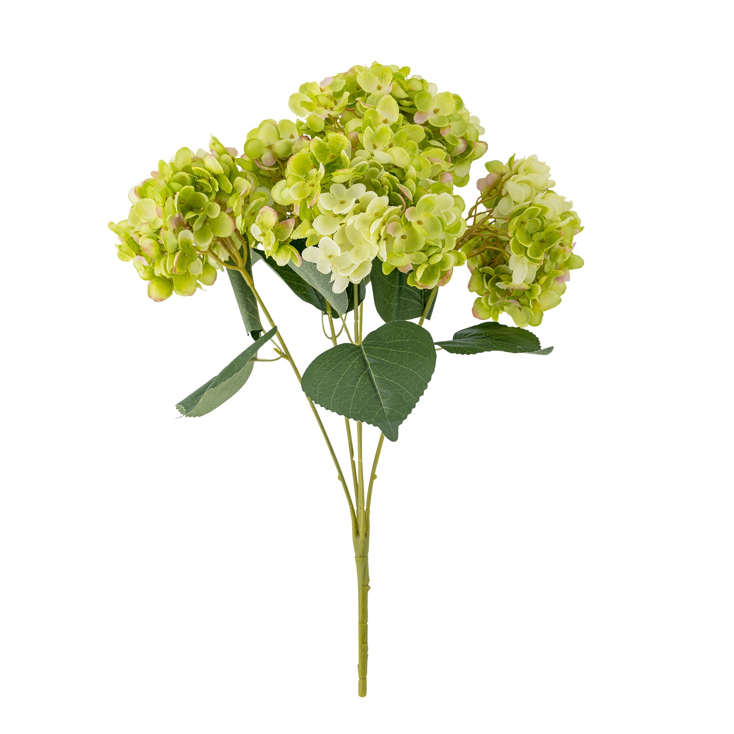 Hydrangea Cluster