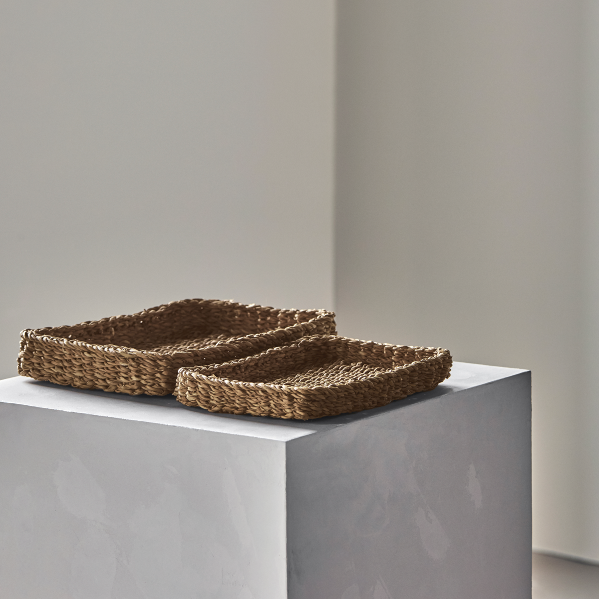 Set of Seagrass Trays