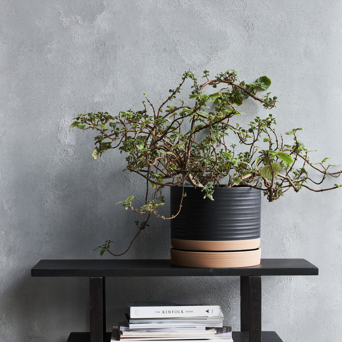 Aston Stoneware Planters - Design Vintage