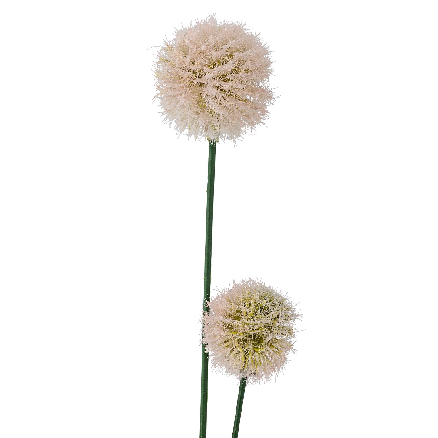 Blush Phlox Stem - Design Vintage
