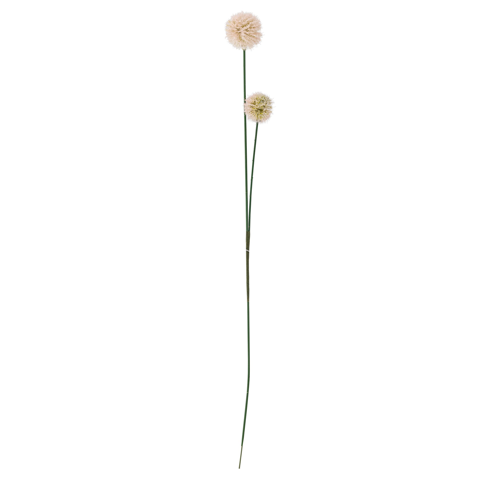 Blush Phlox Stem - Design Vintage