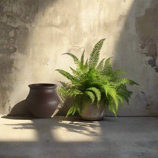 Dark Grecian Pot - Design Vintage