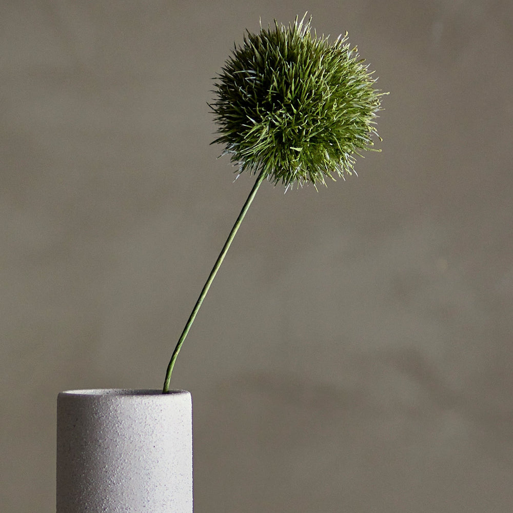 Green Allium Stem