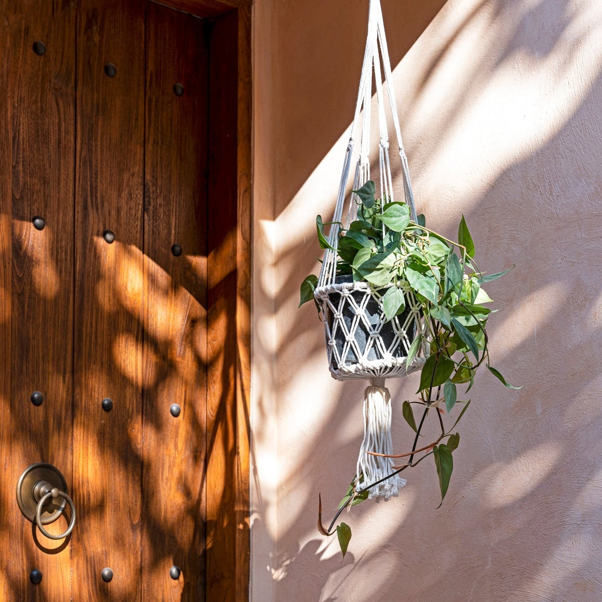 Macrame Plant Holder - Design Vintage