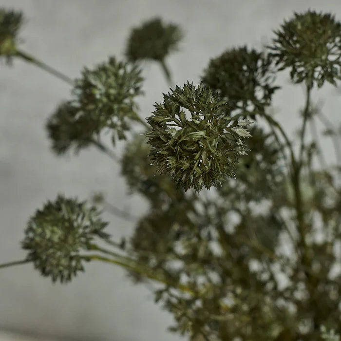 Abigail Ahern Dusk Melaleuca - Design Vintage