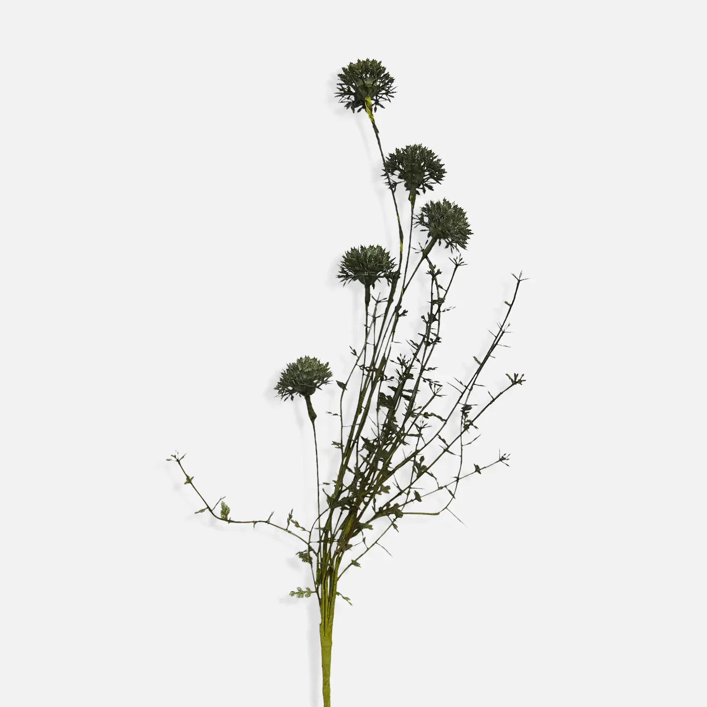 Abigail Ahern Dusk Melaleuca - Design Vintage