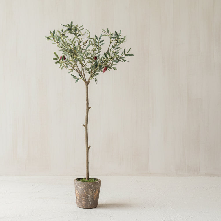 Potted Faux Olive Tree