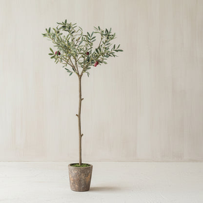 Potted Faux Olive Tree - Design Vintage
