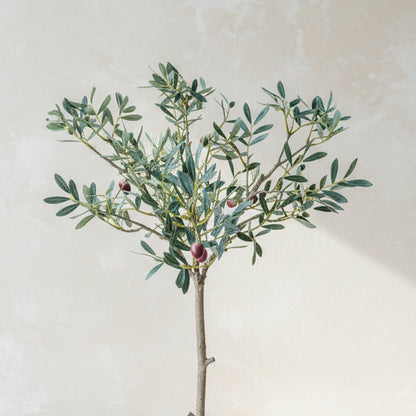 Potted Faux Olive Tree - Design Vintage