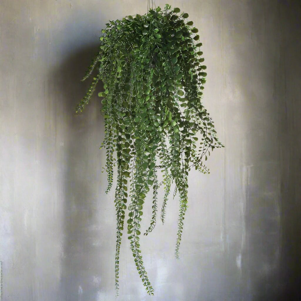 Pea Leaf Hanging Plant