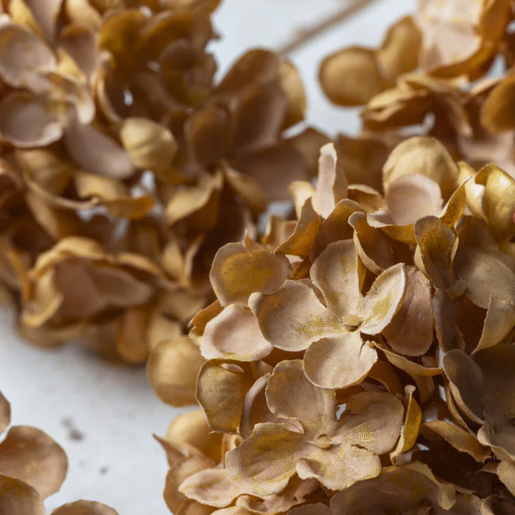 Walnut Hydrangea Stem - Design Vintage