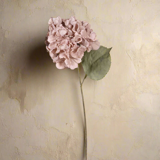 Blush Hydrangea Stem - Design Vintage