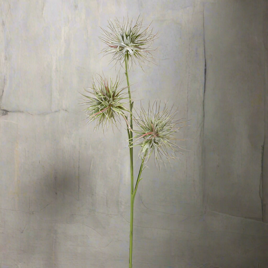 Wild Allium Spray - Design Vintage