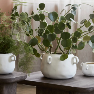 Calo Ceramic Pot - Design Vintage