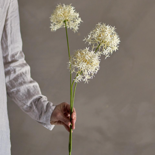 White Allium Spray - Design Vintage