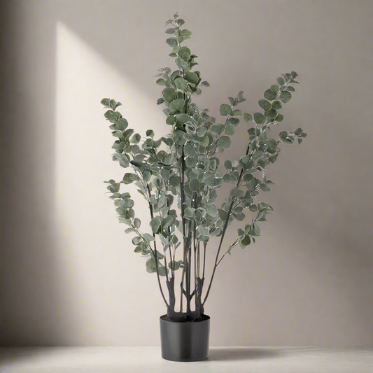 Potted Eucalyptus Plant - Design Vintage