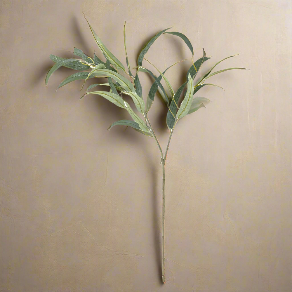 Willow Eucalyptus Stem