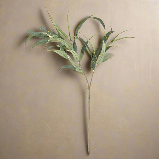 Willow Eucalyptus Stem - Design Vintage
