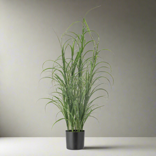 Potted Grass Plant - Design Vintage