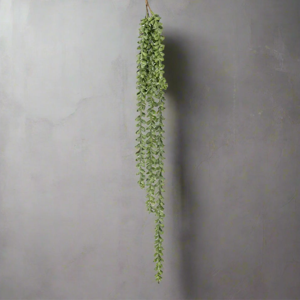 Trailing String of Pearls | Design Vintage | Faux Hanging Plant