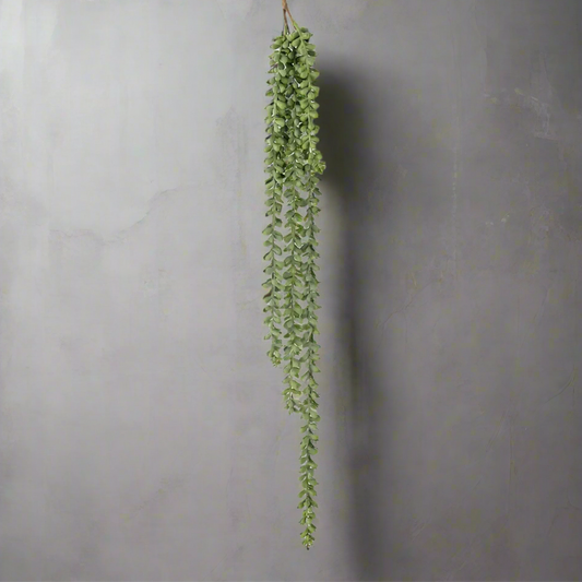 Trailing String of Pearls - Design Vintage