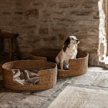 Seagrass Dog Bed - Design Vintage