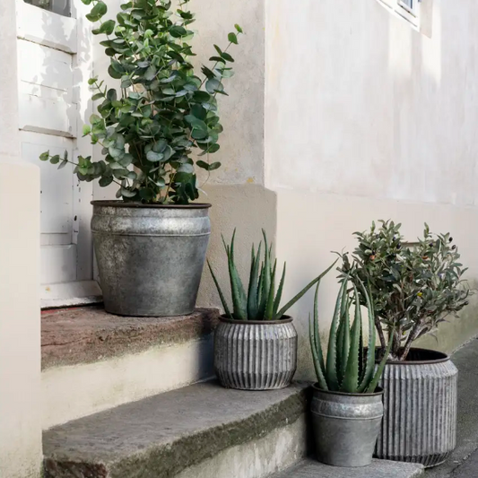 Ribbed Iron Planters - Design Vintage