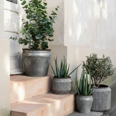 Set of Ribbed Iron Planters