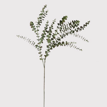 Baby Leaf Eucalyptus Spray