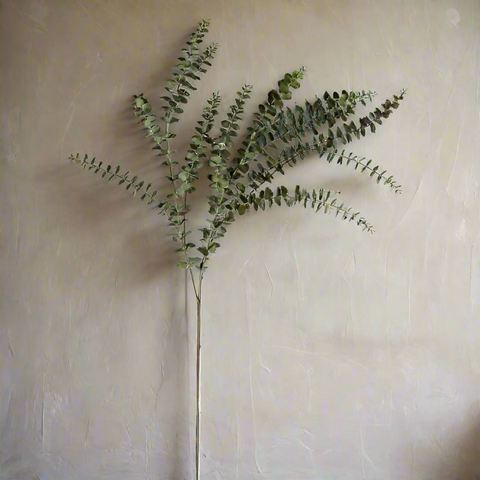 Baby Leaf Eucalyptus Spray