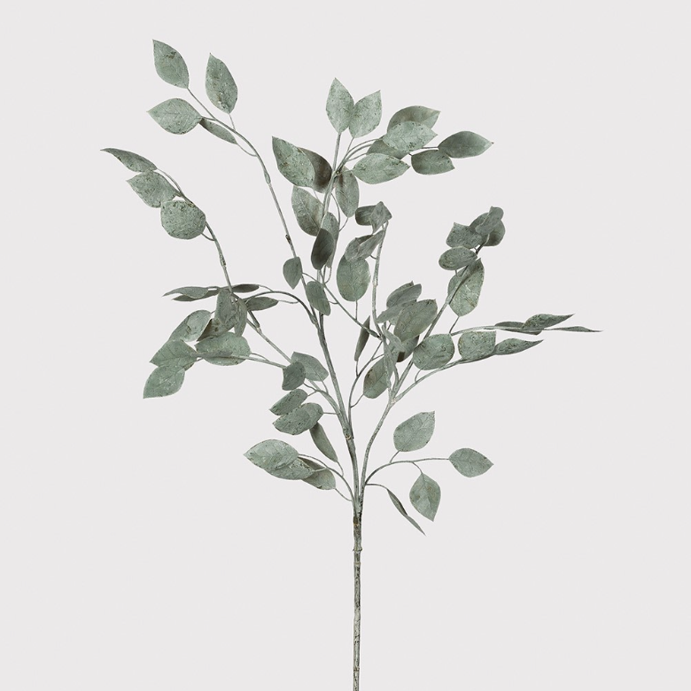 Silver Leaf Eucalyptus Spray