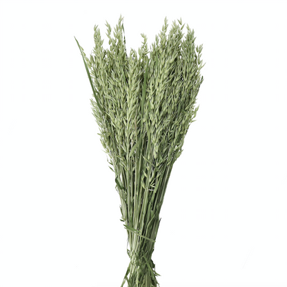 Natural Dried Avena Bunch - Design Vintage