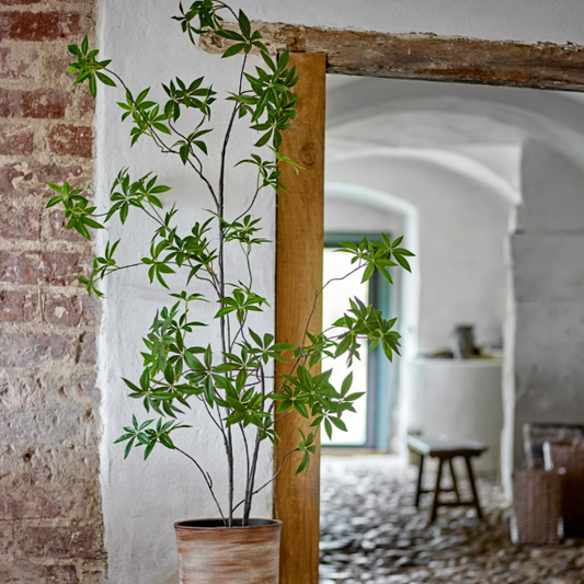 Faux Acer Palmatum - Design Vintage
