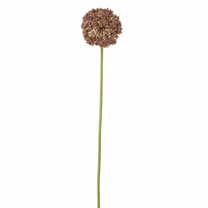 Brown Allium Stem - Design Vintage