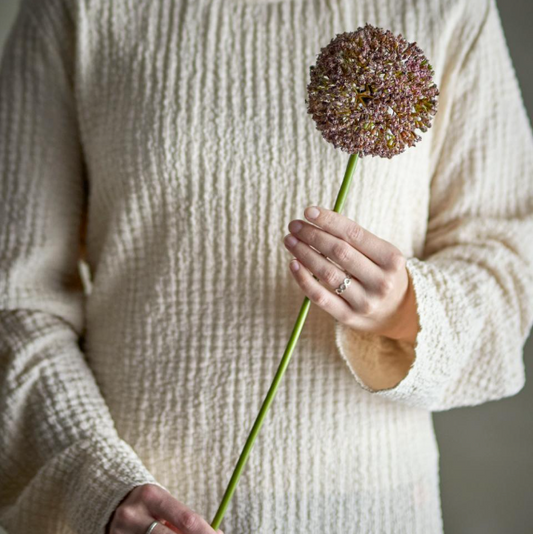 Brown Allium Stem - Design Vintage