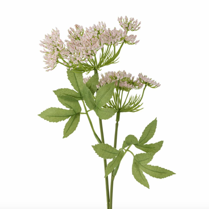 Blush Fennel Stem - Design Vintage