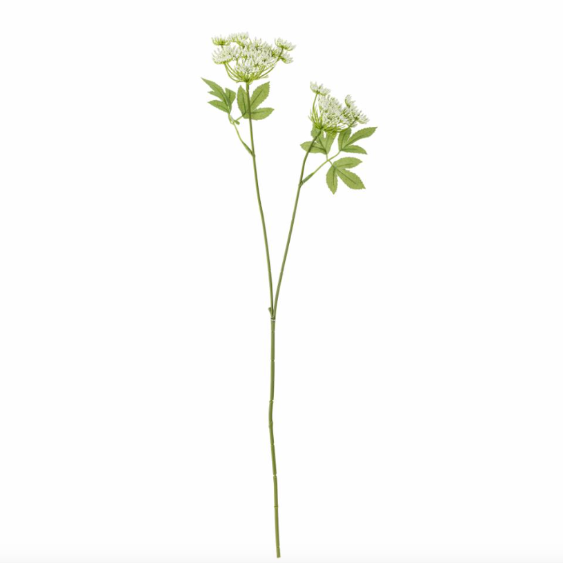 White Fennel Stem - Design Vintage