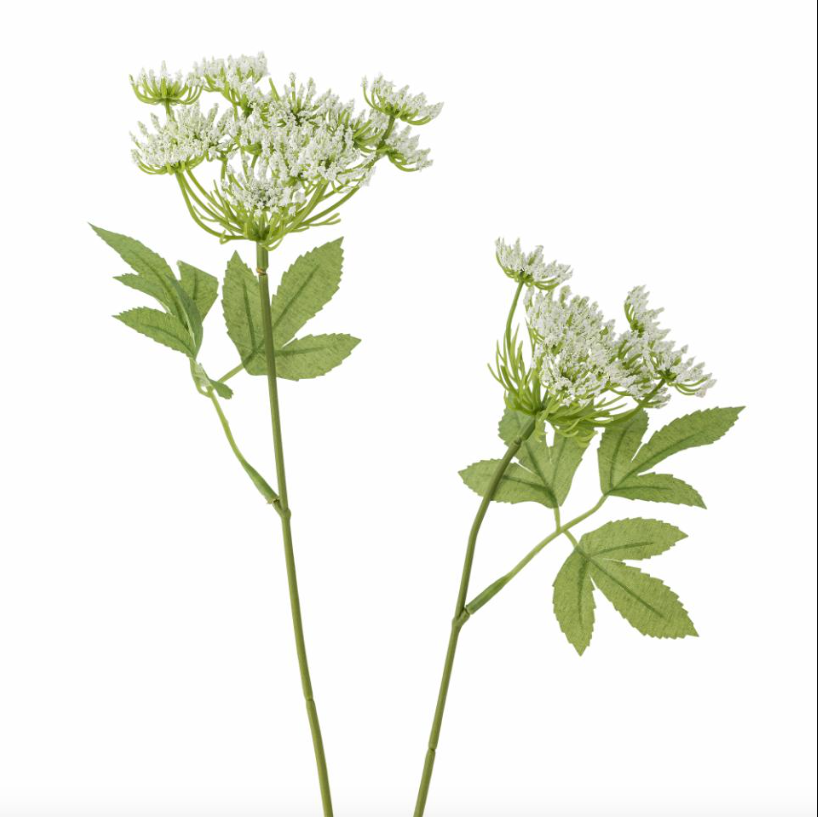 White Fennel Stem - Design Vintage