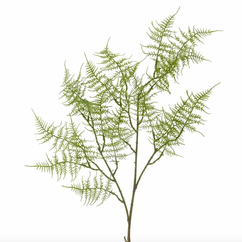 Green Fern Spray - Design Vintage